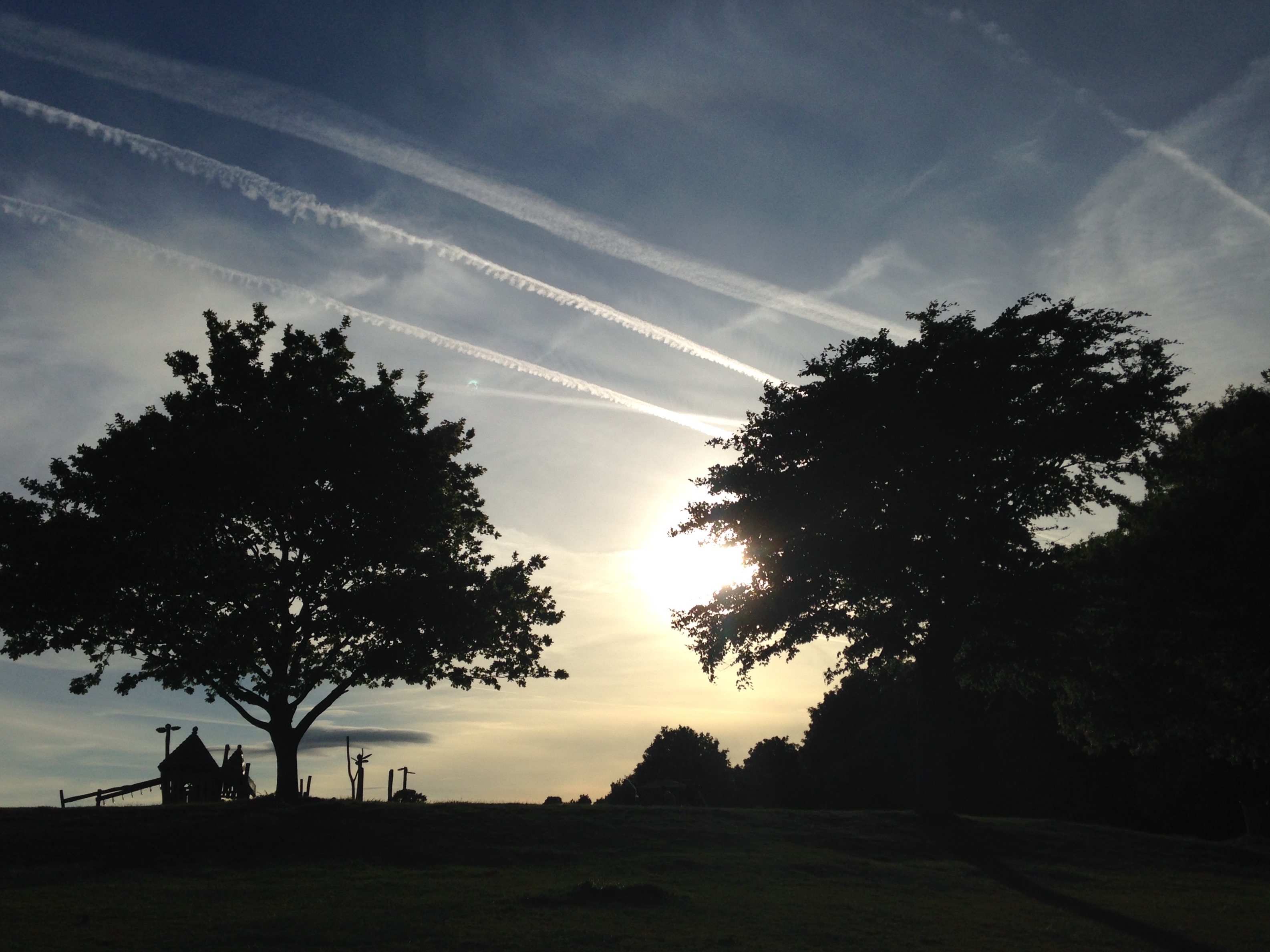 I know how this show goes