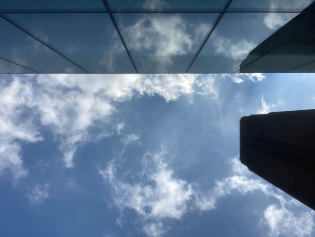 The toilet is my favourite&nbsp;place